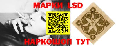 мдпв Донецк