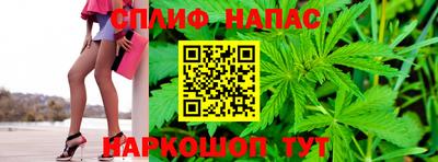 молекула духа Донской