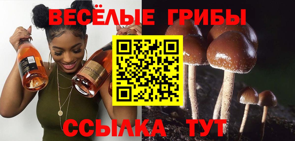 Галлюциногенные грибы Psilocybine cubensis  Вход с VPN  Новочебоксарск 